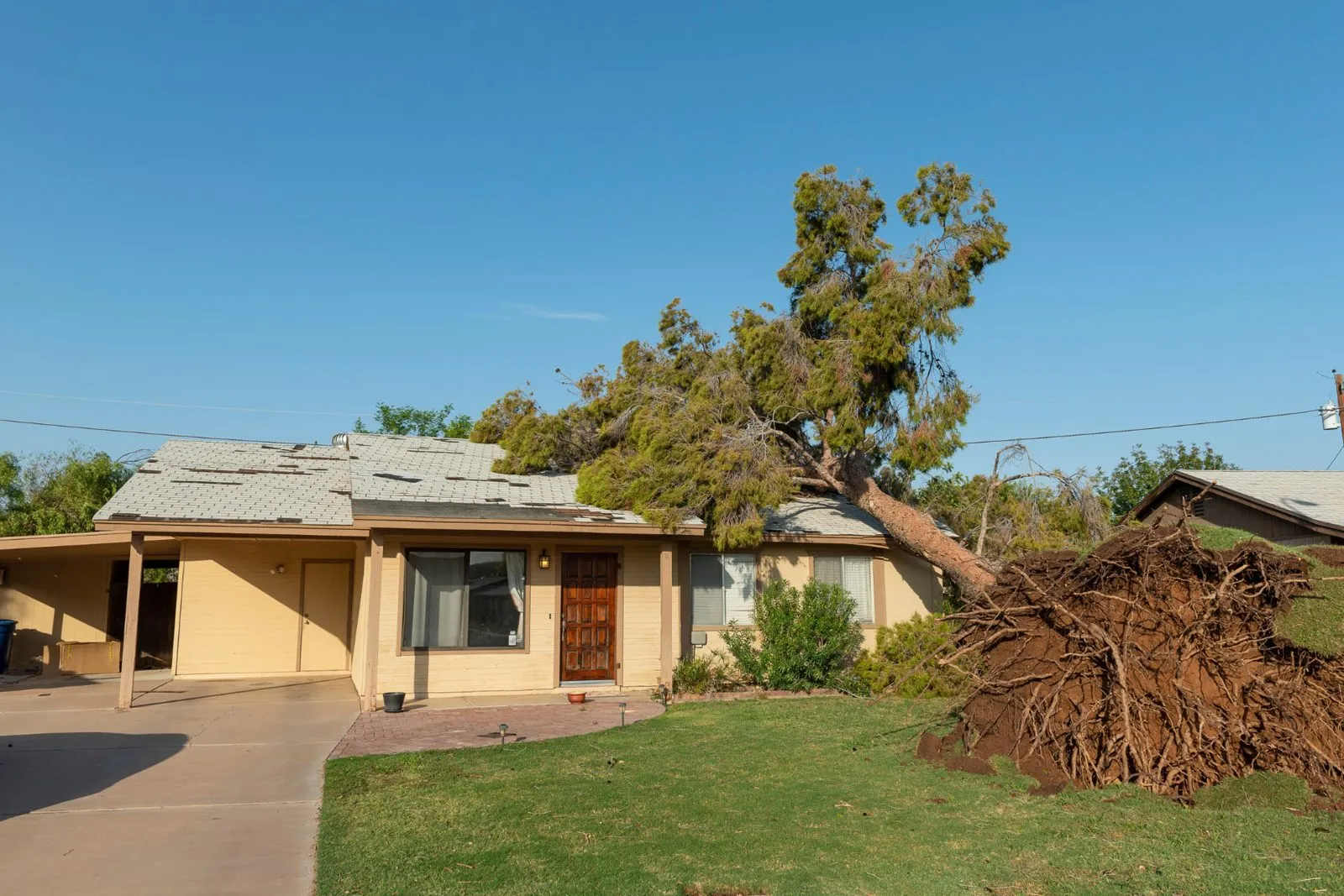 Tree on a roof before storm damage repair in Phoenix, AZ