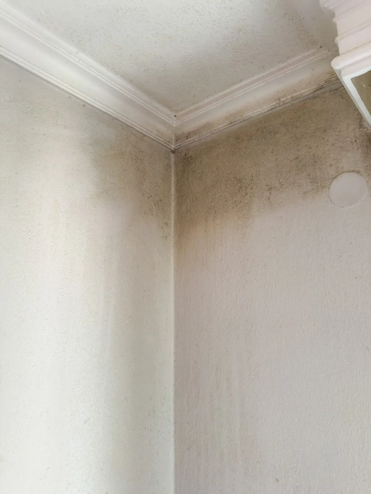 Water stained wall and crown molding before water damage repair in Phoenix, AZ